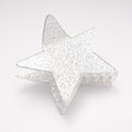 HH0770 Star Hair Claw Clip Silver