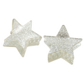 HH1270 Star Hair Claw Clips Twin Pack Silver