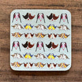 Alec Clark Brilliant Birds Coaster