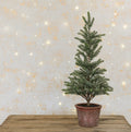 Floralsilk Faux Mini Christmas Tree In Pot
