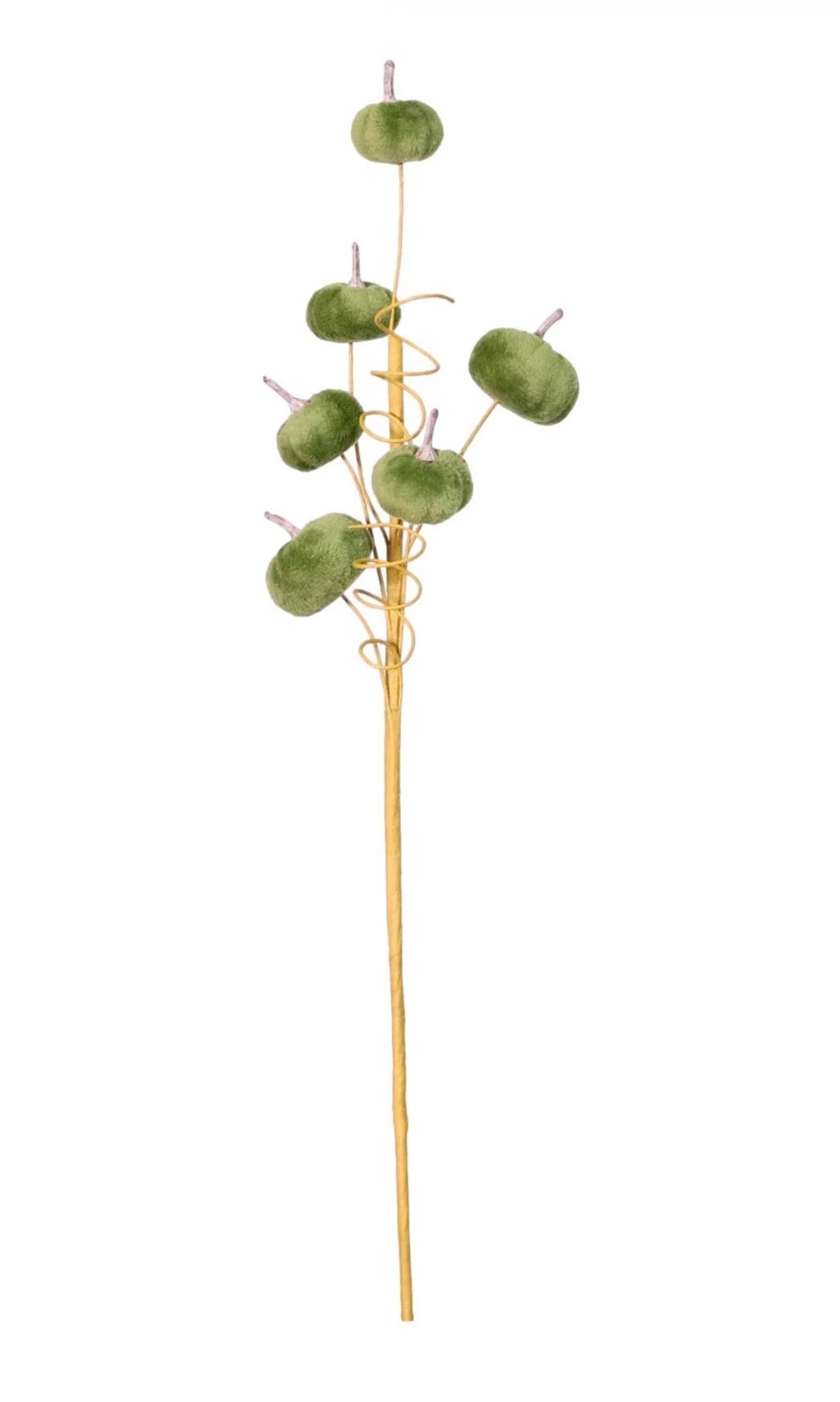 Autumn Mini Velvet Pumpkin Spray Sage Green