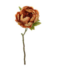 Dried Rouched Closed Peony Orange