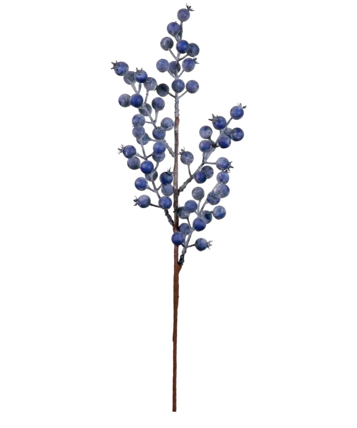 Dusted Seasonal Blueberry Stem Blue