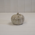 Mottle Ceramic Pumpkin Decoration Beige Medium