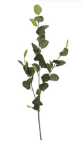 Silk 72cm Silver Dollar Stem Natural Green