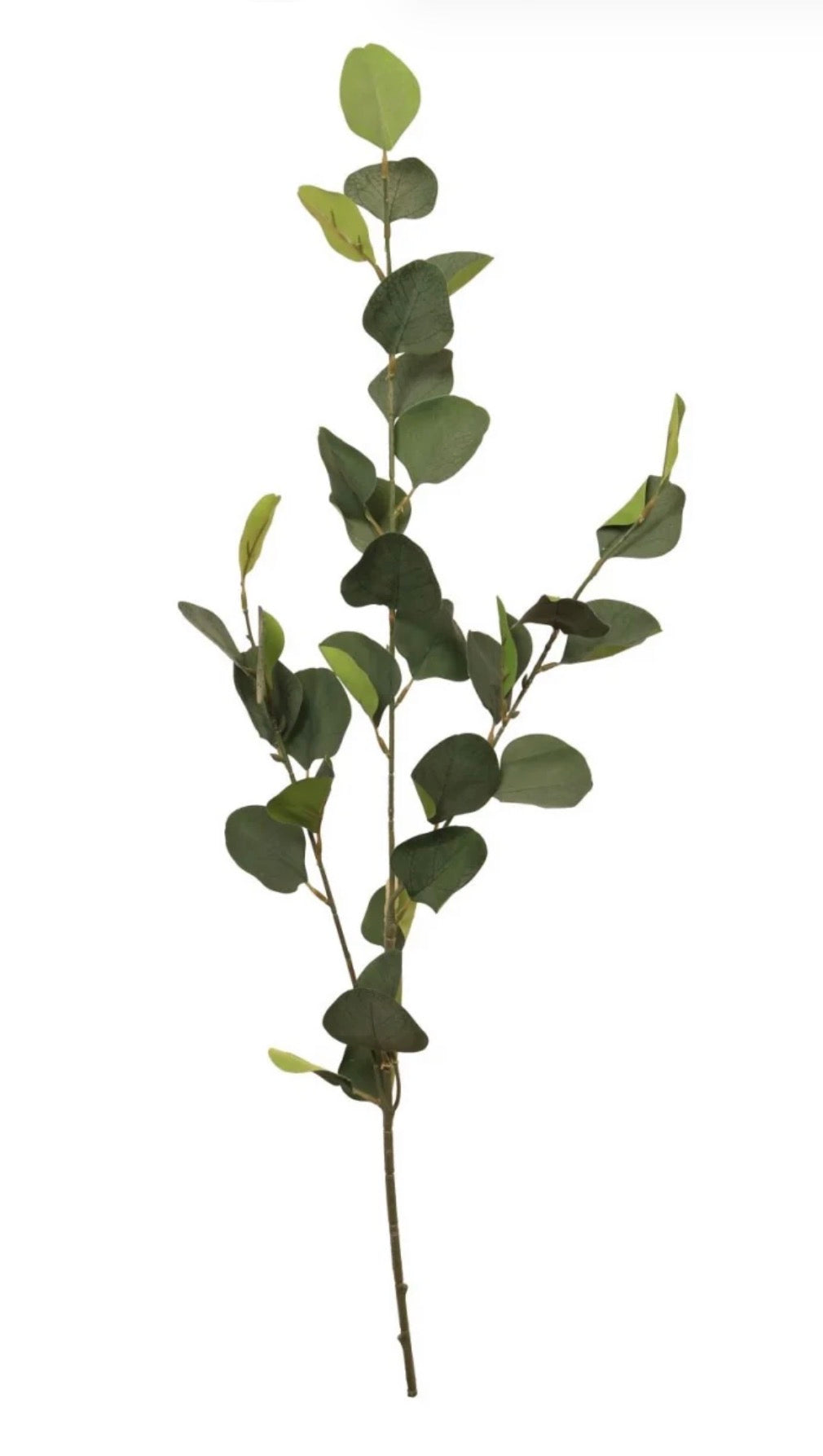 Silk 72cm Silver Dollar Stem Natural Green