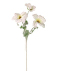 Trumpet Valentina Spray Cream