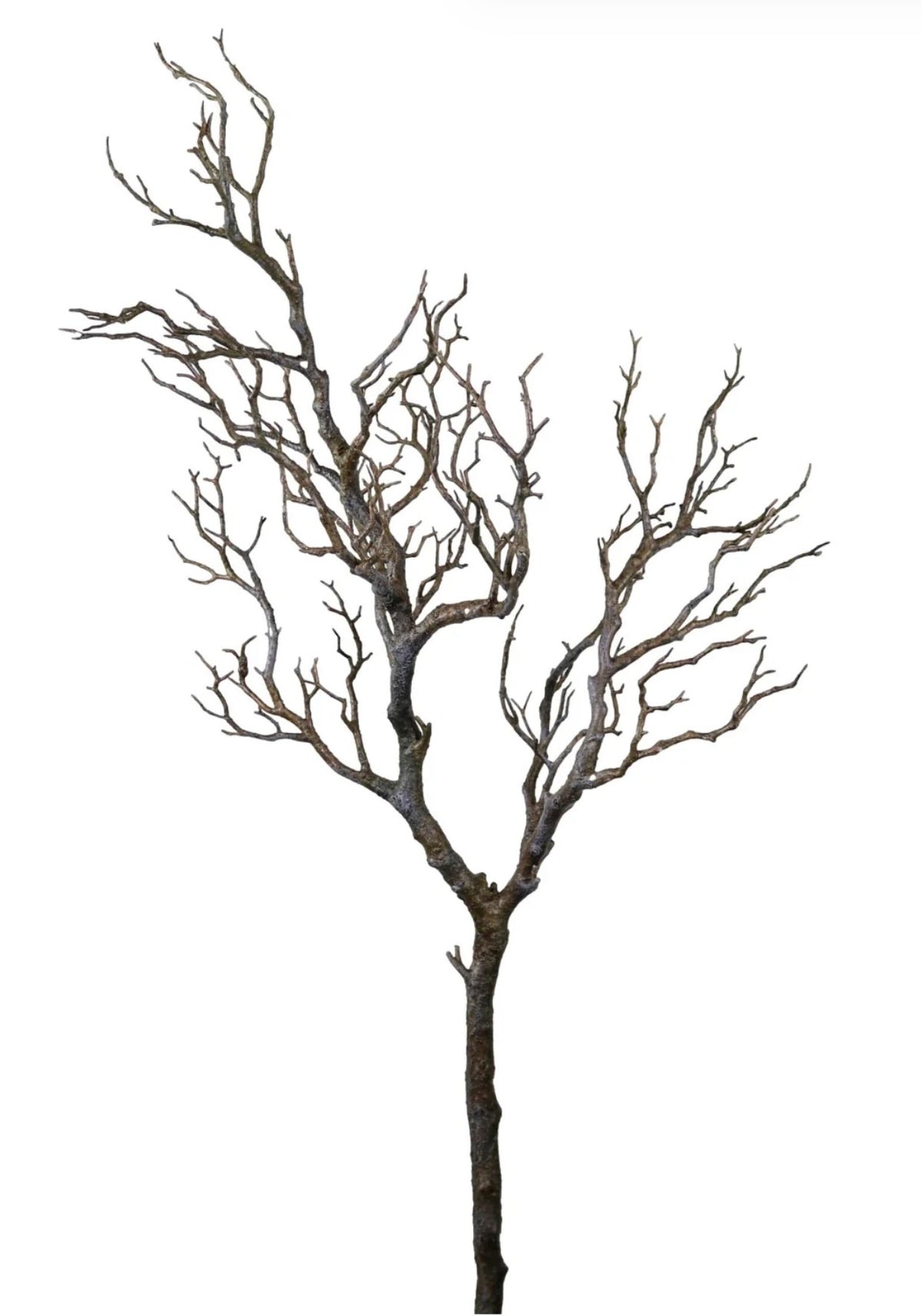 Wildwood Branch Natural