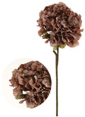 Lotus Imports Dried Touch Ruffled Hydrangea Mocha