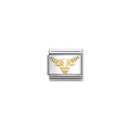 NOMINATION COMPOSABLE CLASSIC LINK GOLD CAPRICORN, ETCHED DETAIL