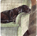 Alex Clark Buddy Dog Coaster
