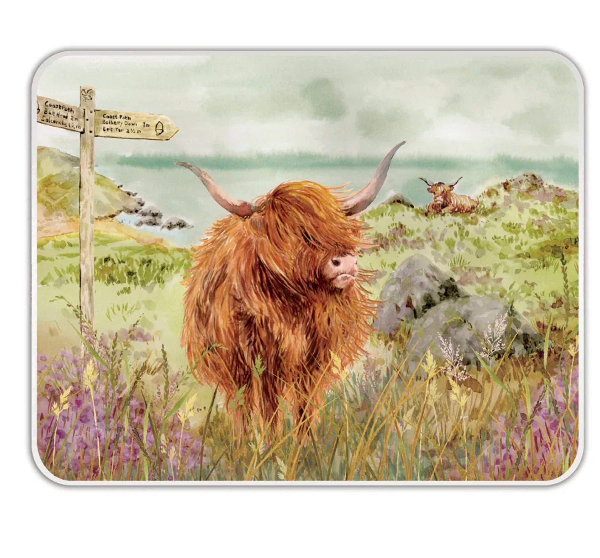 National Trust Worktop Protector Highland Cow Large