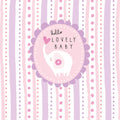 Belly Button Designs Hello Lovely Baby Girl Elephant Card