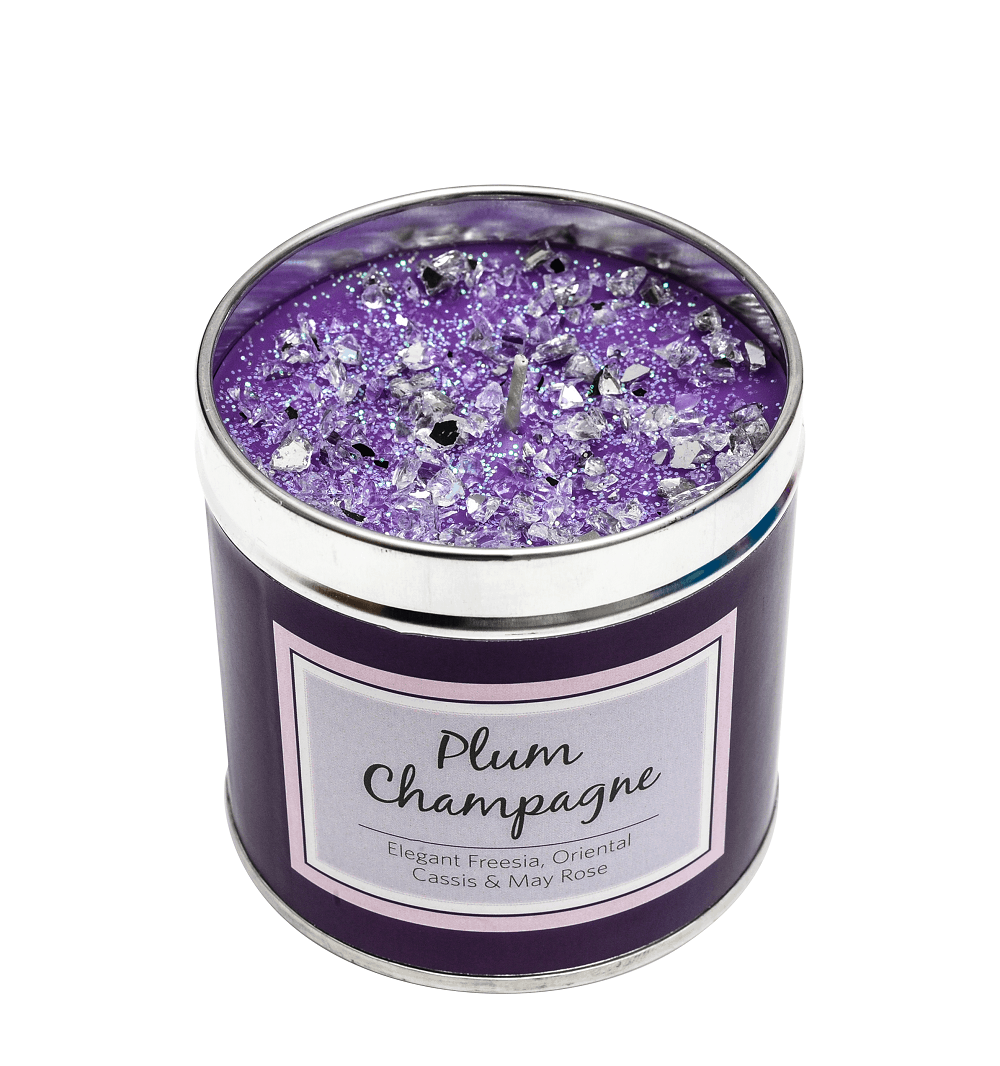 Best Kept Secret Plum Champagne Tin Candle