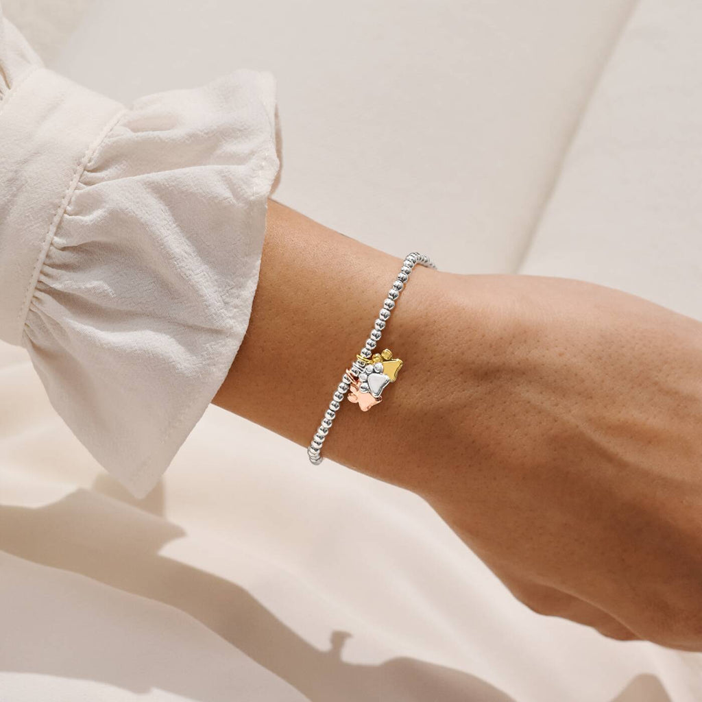 Joma Jewellery A Little Charmed Moments Perfect Pawprint Silver, Gold & Rose Gold Plated Bracelet