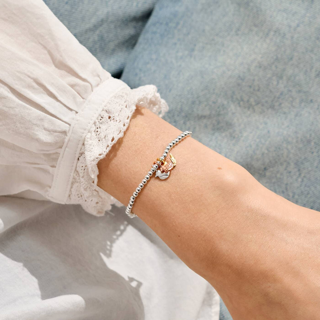 Joma Jewellery A Little Charmed Moments Robins Appear When Loved Ones Are Near Silver, Gold & Rose Gold Plated Bracelet