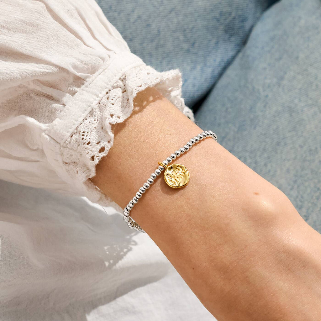 Joma Jewellery A Little Lucky Penny Silver & Gold Plated Bracelet
