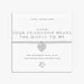 Joma Jewellery A Little Your Friendship Means the World To Me Silver Plated Bracelet