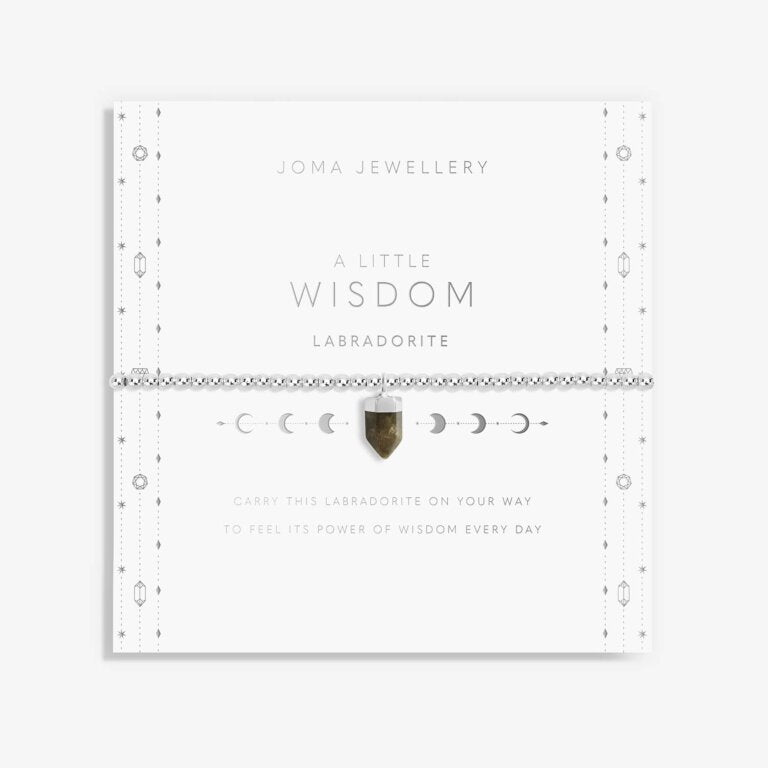 Joma Jewellery Affirmation Crystal A Little Wisdom Labradorite Silver Bracelet