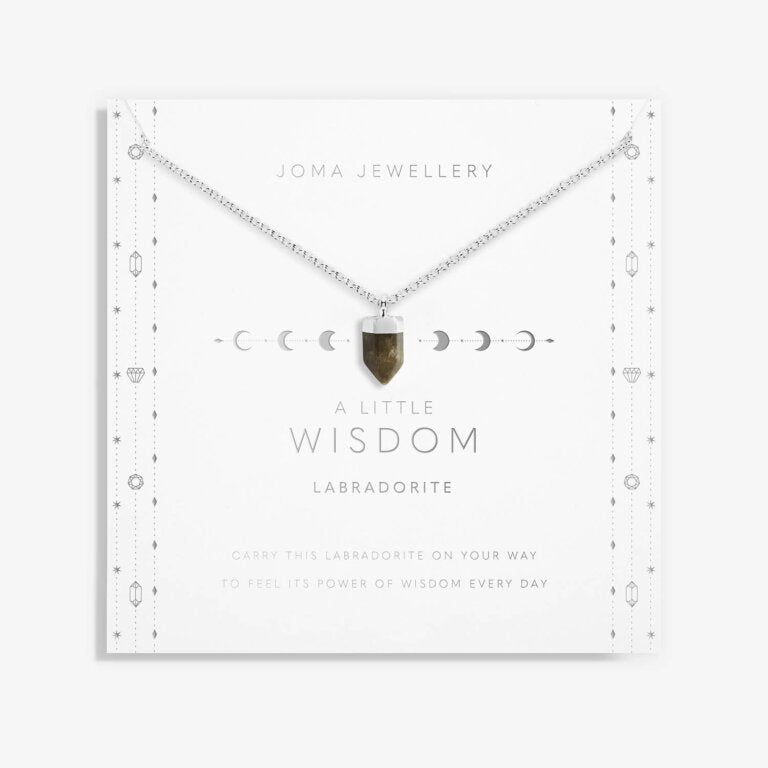Joma Jewellery Affirmation Crystal A Little Wisdom Labradorite Silver Necklace
