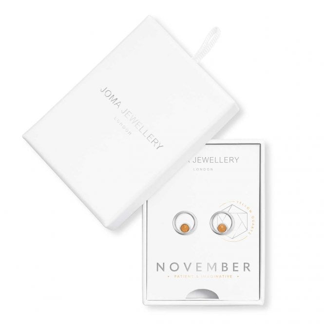 Joma Jewellery Treasure The Little Things Birthstone November Earrings