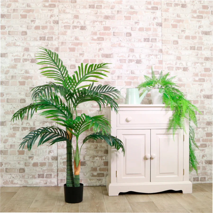 Kentia Palm