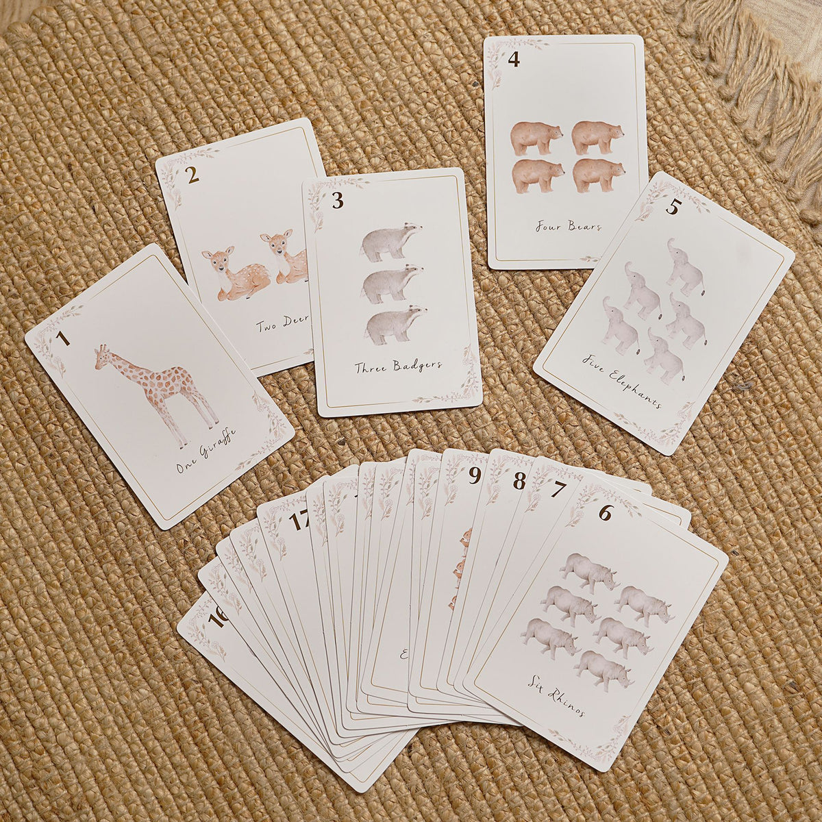 Little Roglets Number Learning Cards