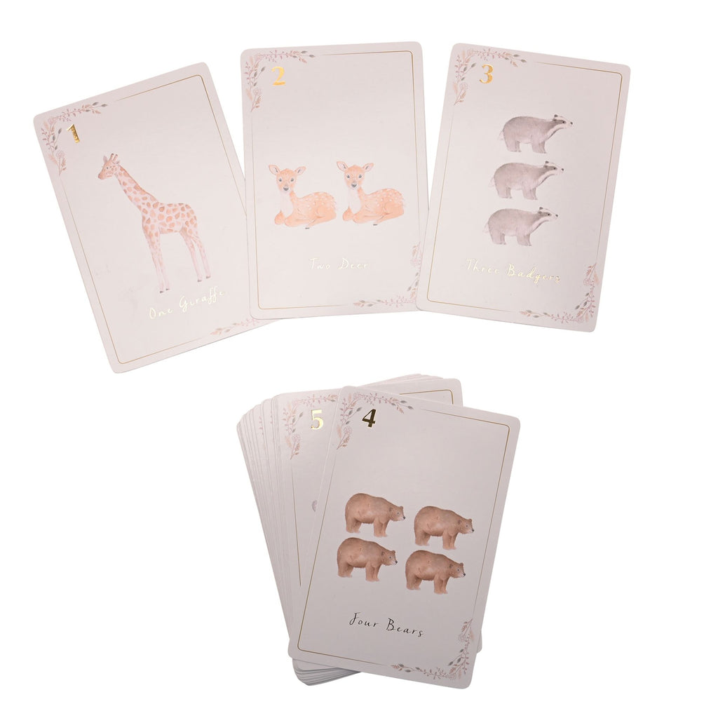 Little Roglets Number Learning Cards