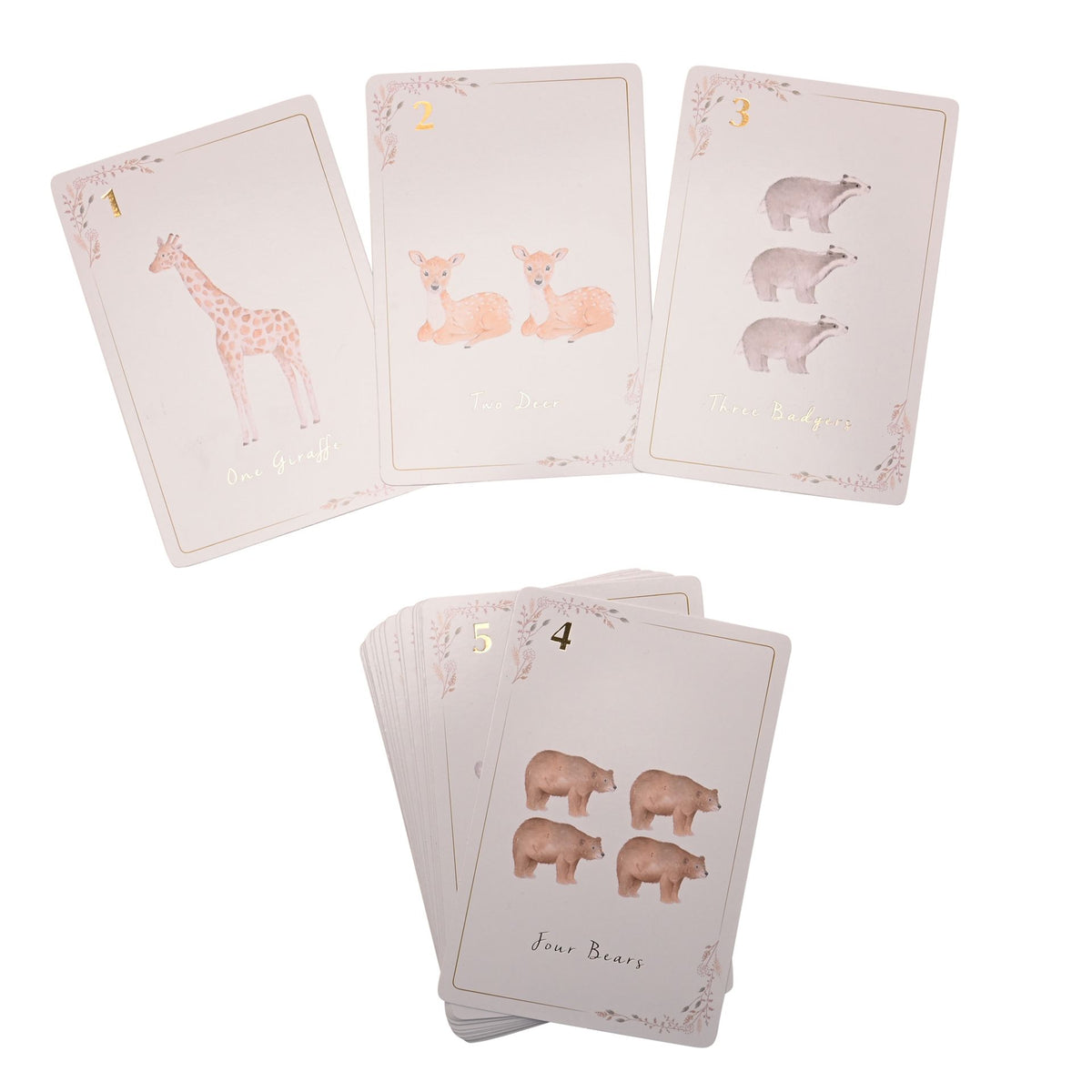 Little Roglets Number Learning Cards