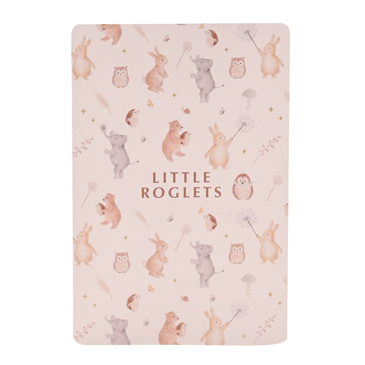 Little Roglets Alphabet Learning Cards