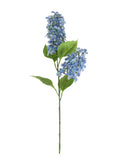 Lotus 2 Head Paniculata Blue