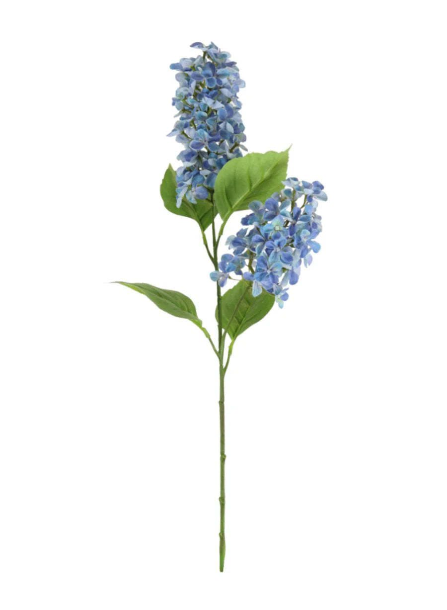 Lotus 2 Head Paniculata Blue