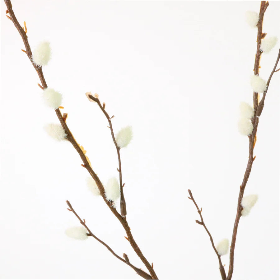 Luxury Pussy Willow Spray Cream