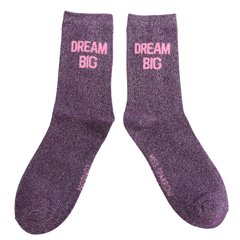 Miss Sparrow Glitter Statement Socks Dream Big
