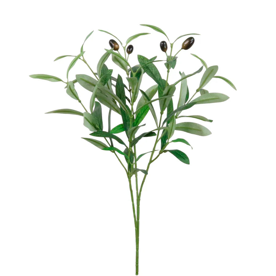 Olive Spray Small