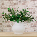 Olive Spray Small