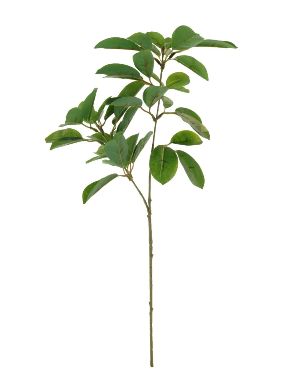 Printed Mountain Laurel Spray Green