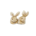 Rainbow Design Peter Rabbit First Booties Set