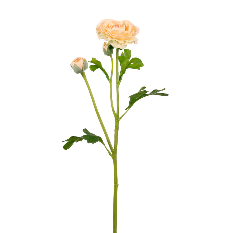 Real Touch Ranuncula Spray Apricot