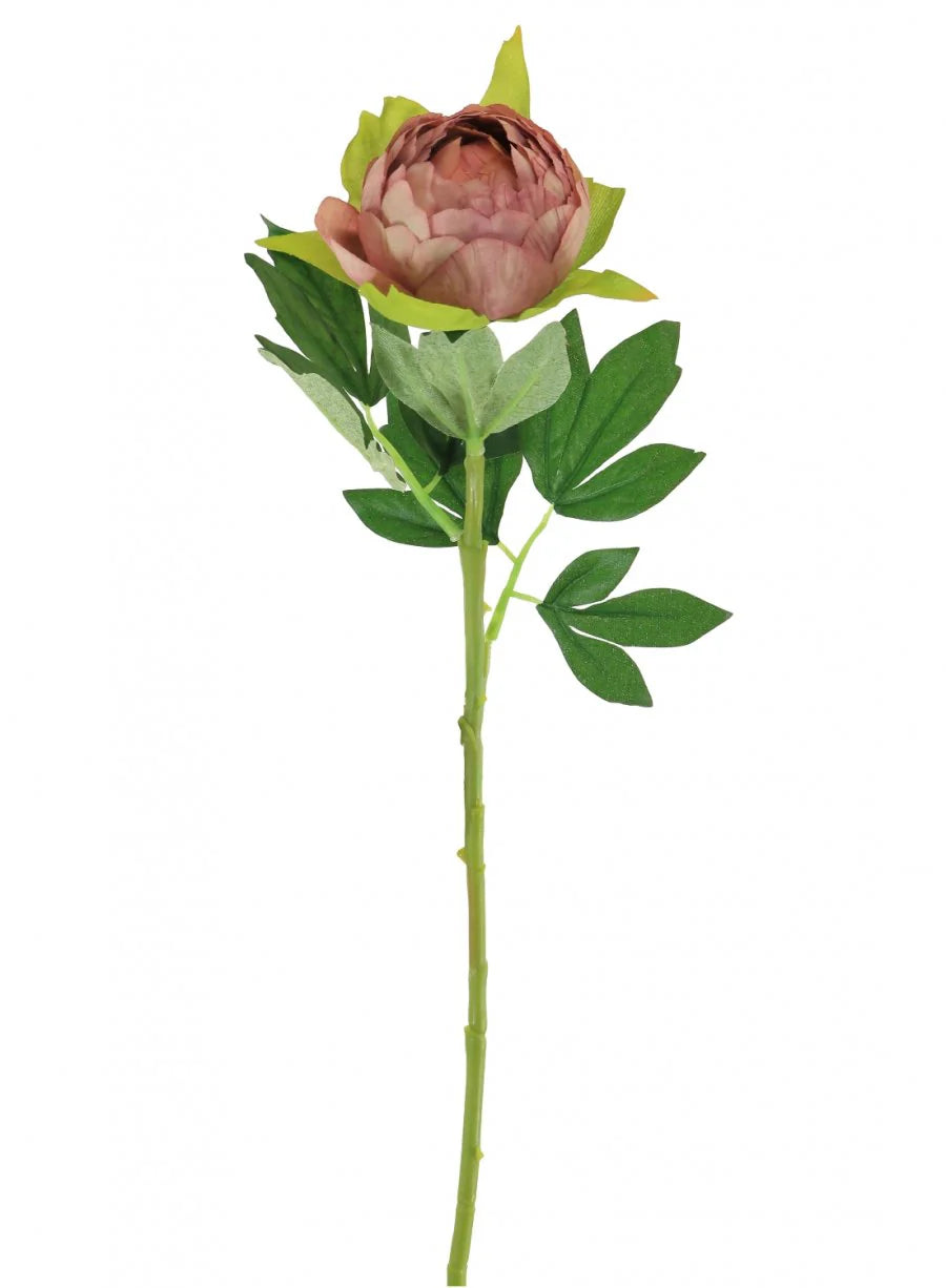 Silk Camila Peony Antique Blush