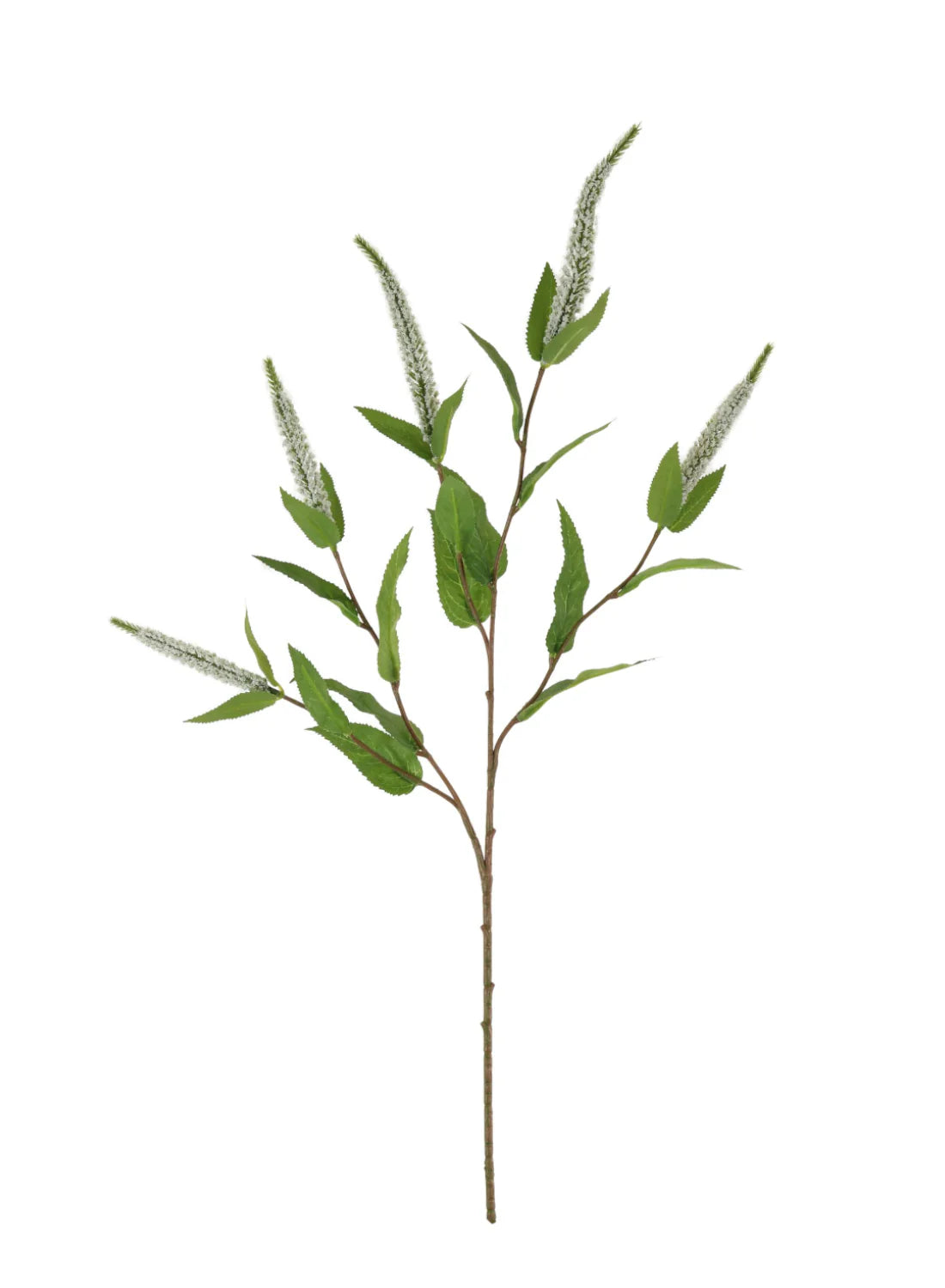Silk Veronica Spray White