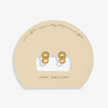 Soul Shine Linked Ring Gold Plated Earrings