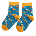 Sparrow Baby Socks Teal Trucks 2-3 Years