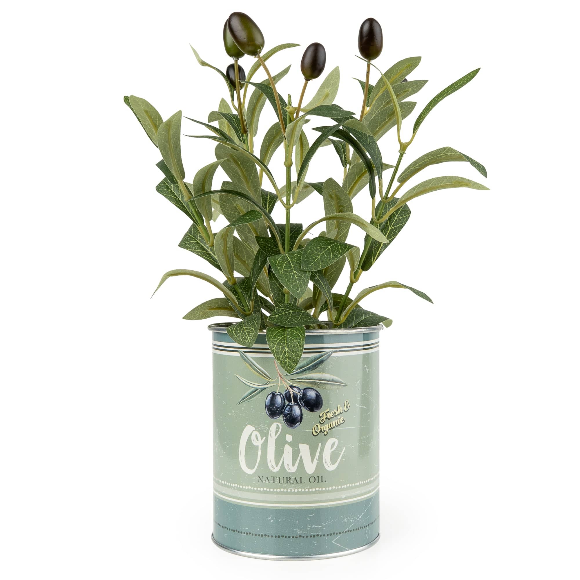 Olive Plant In Tin Pot