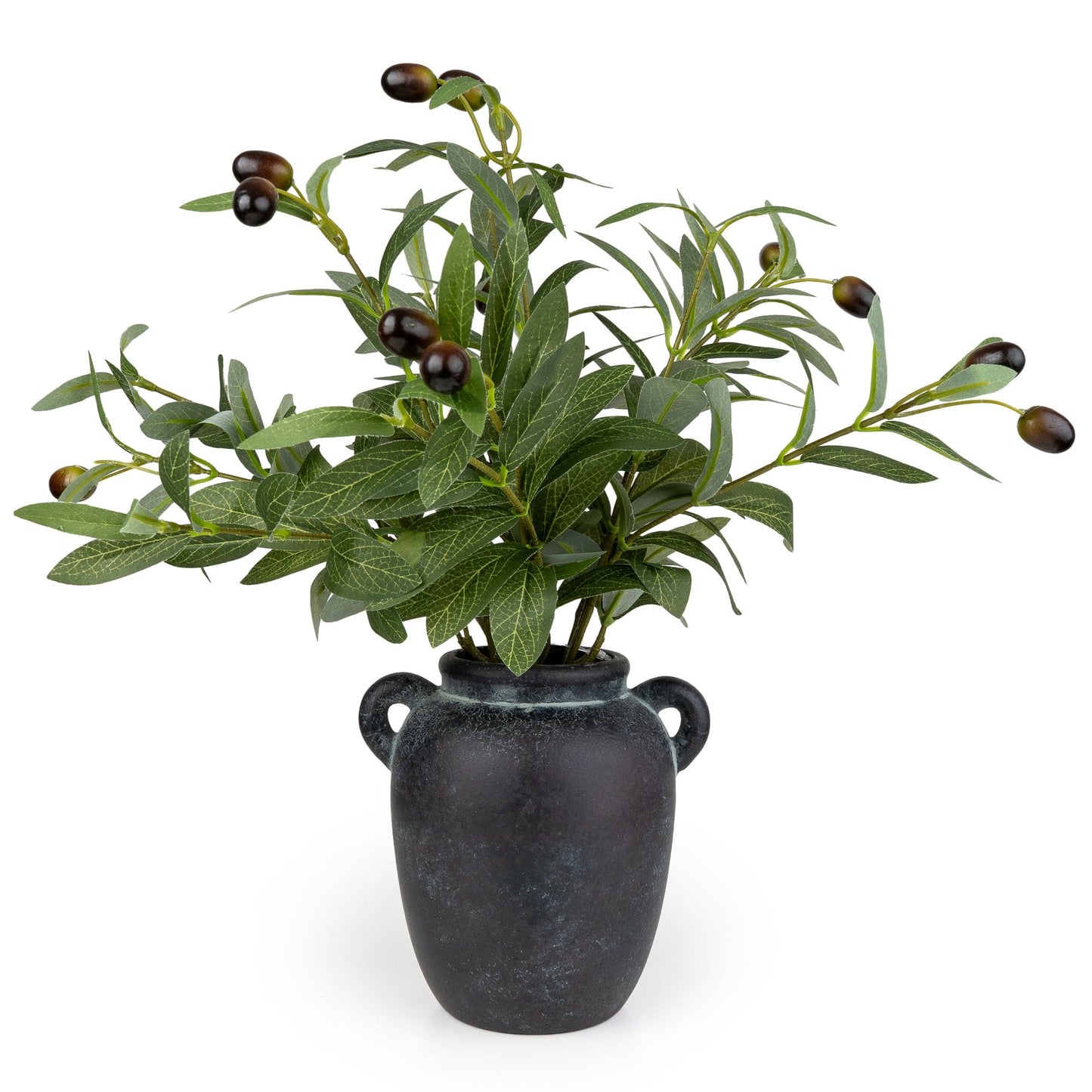 Olive Tree In Vase