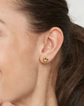 Edblad Barley Studs Gold