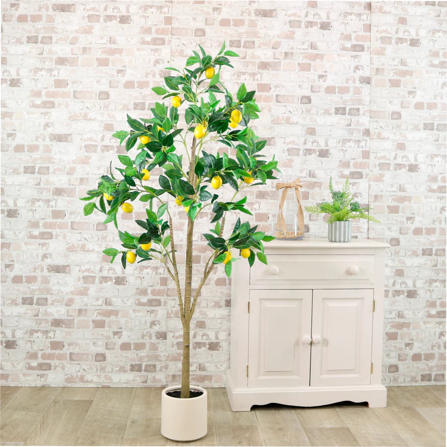 Lemon Tree