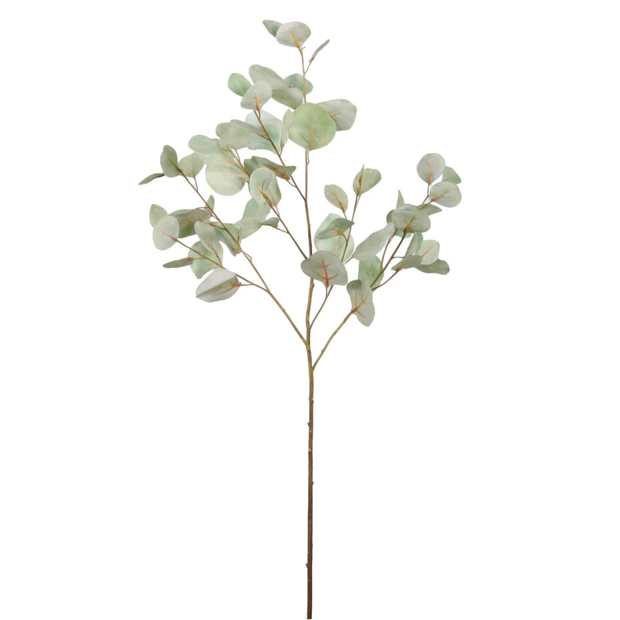 Printed Cinerea Eucalyptus Spray Green/Grey