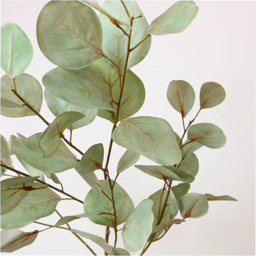 Printed Cinerea Eucalyptus Spray Green/Grey