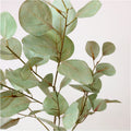 Printed Cinerea Eucalyptus Spray Green/Grey